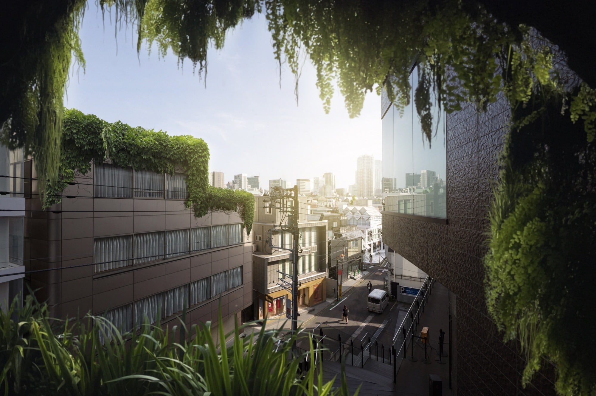 Framtidens Städer: Hur Gröna Tak och Vertikal Begröning Påverkar Urban Miljö